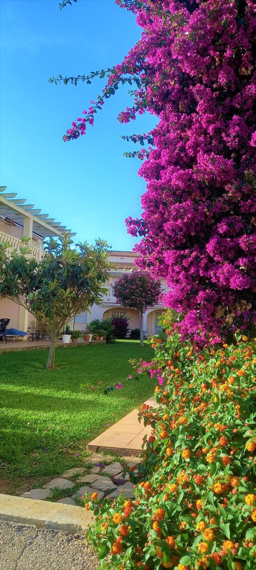 Апартаменты La Giralda 2 Denia Les Marines Экстерьер фото